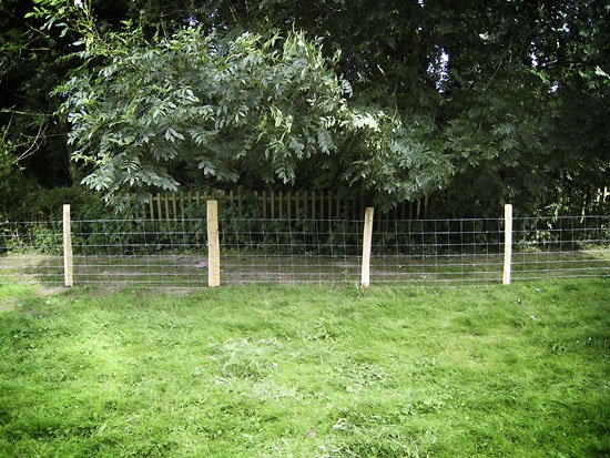 stock fencing