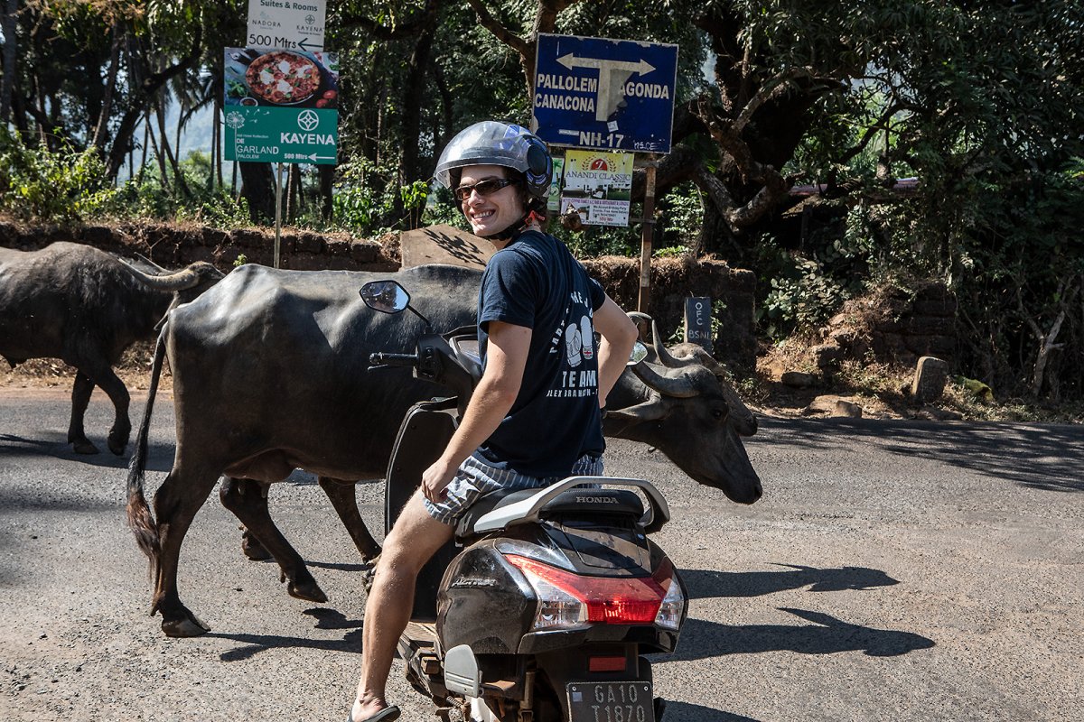 obstruction on road