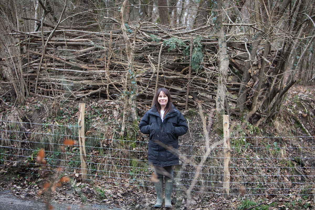 dead fence