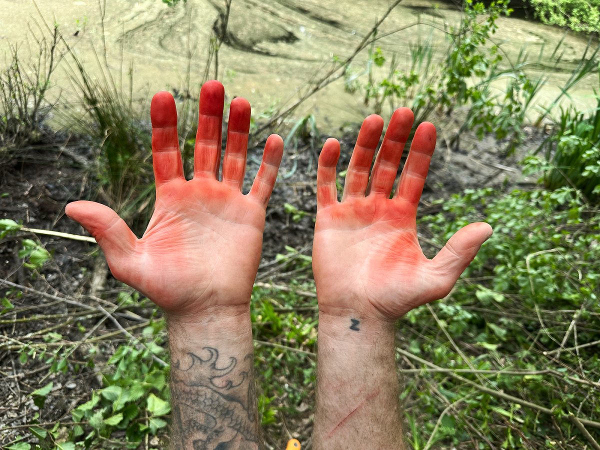 caught red handed