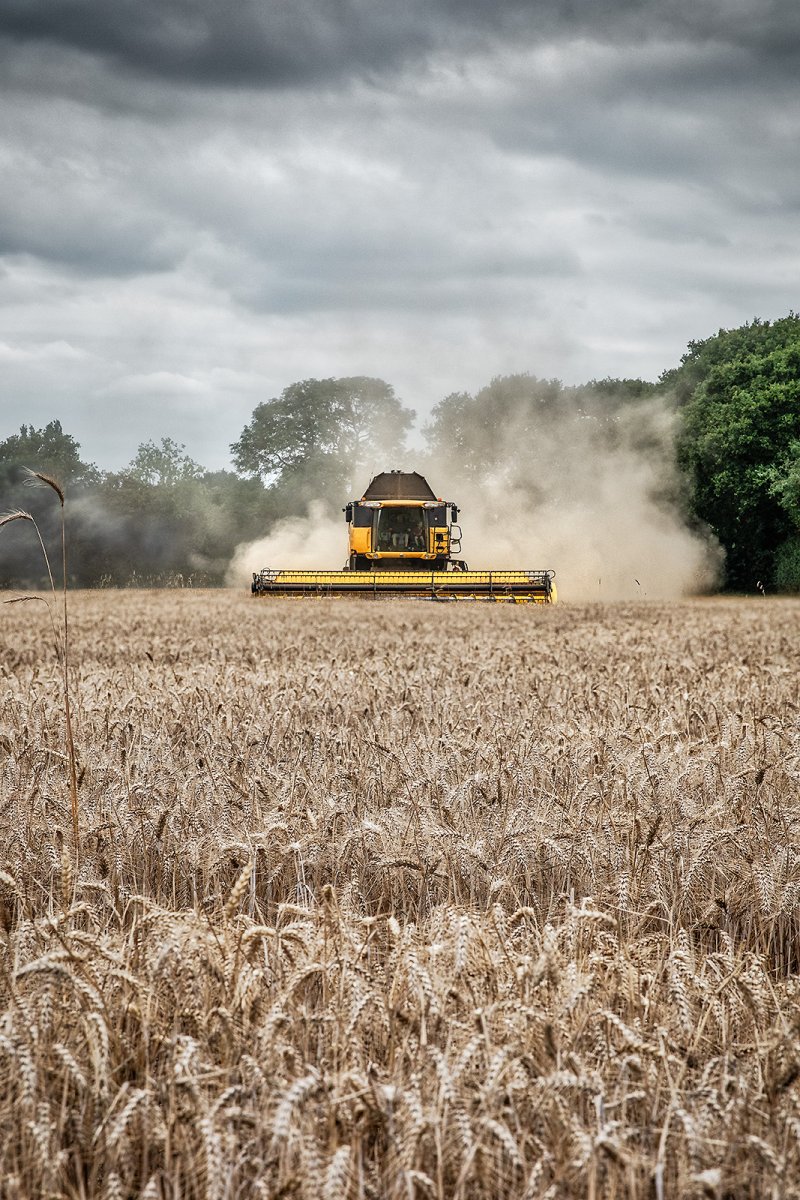 a race against the rain