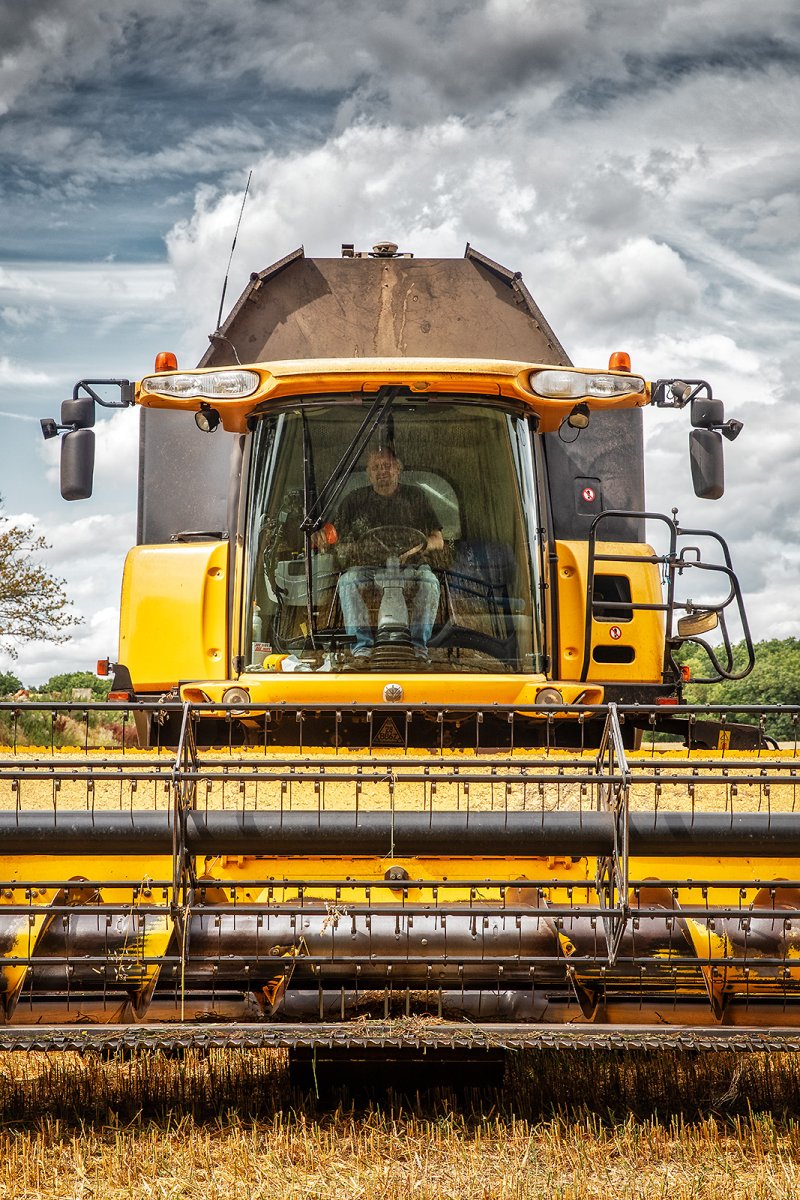 its that time of year