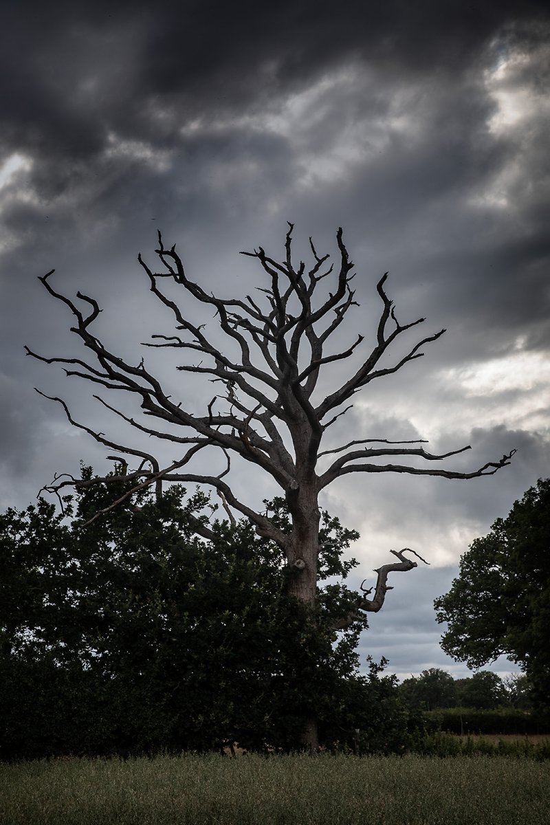 storm clouds building