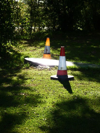septic sunlight