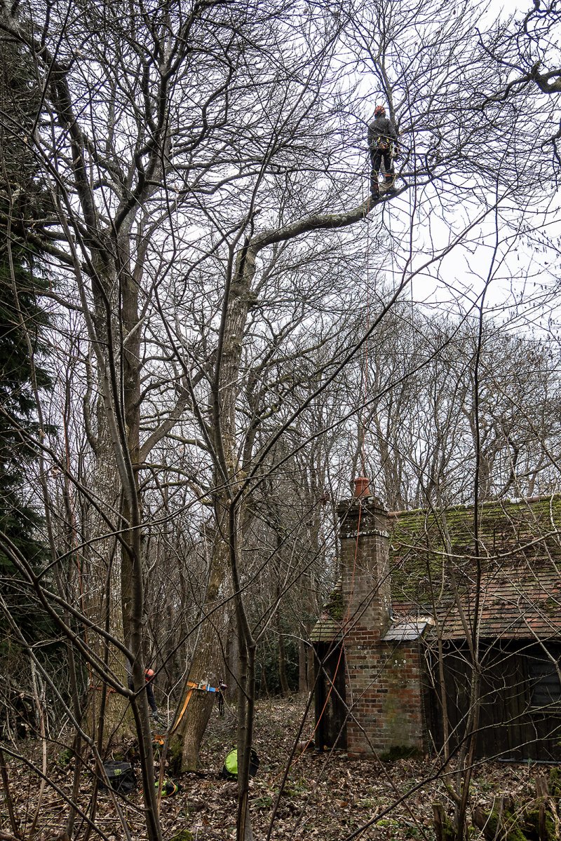 ascending rising harmonising