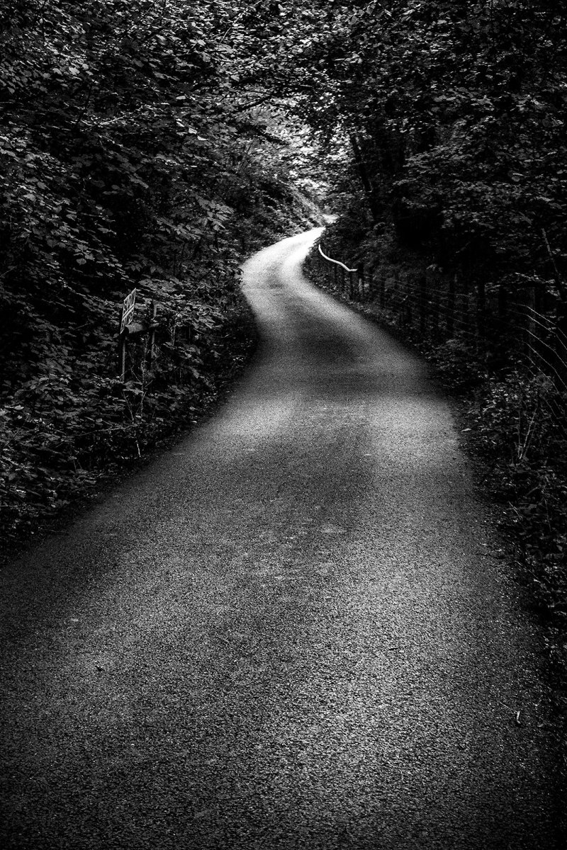 the long and winding road