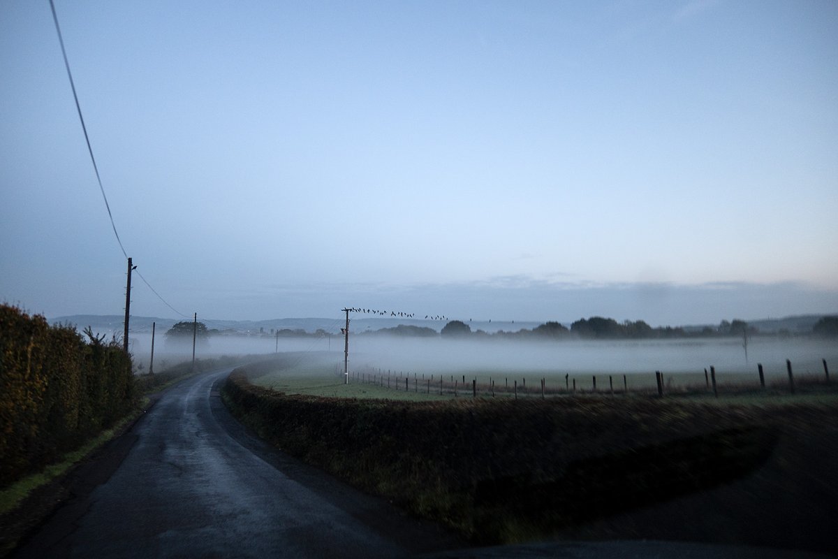 pure morning