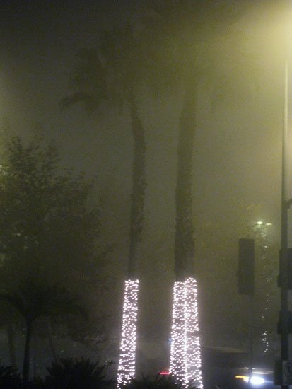 the fog