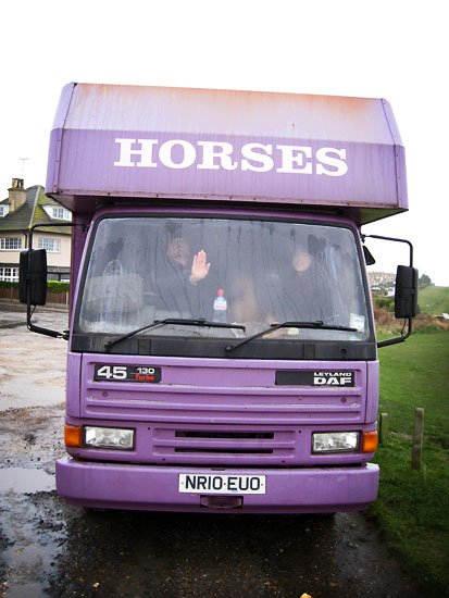 HORSES