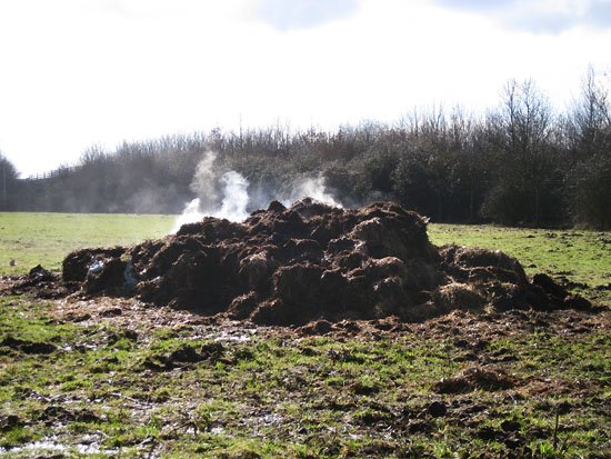 steaming pile of shit