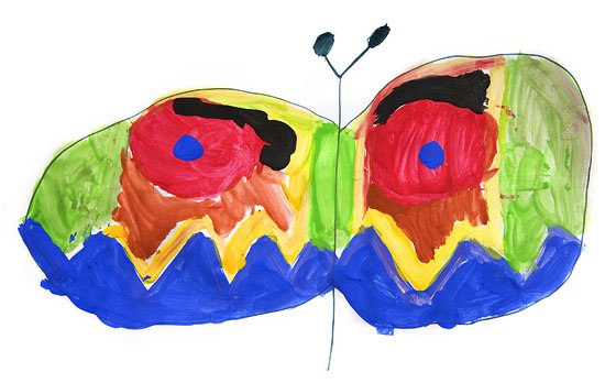 butterfly