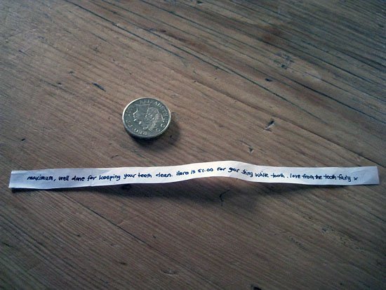 love the tooth fairy