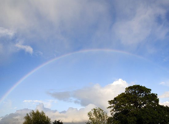 in rainbows