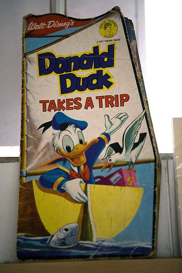 donald takes a trip