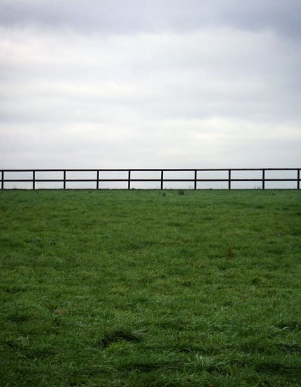 just add horses