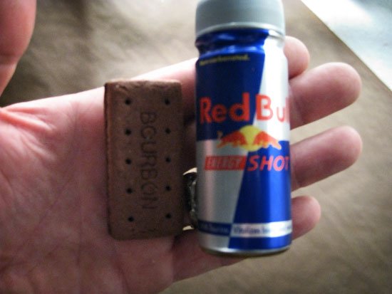 director's diet