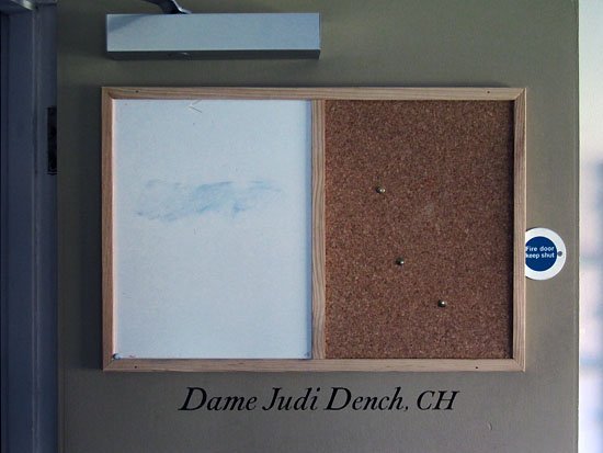 dame judi dench CH