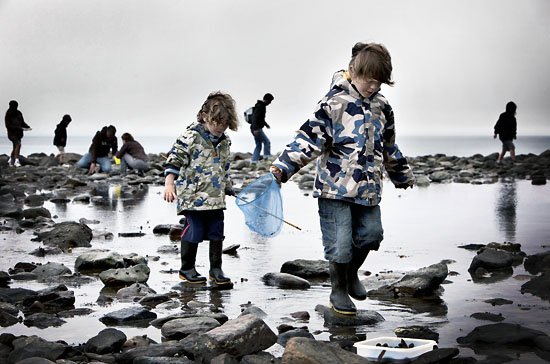 seashore safari