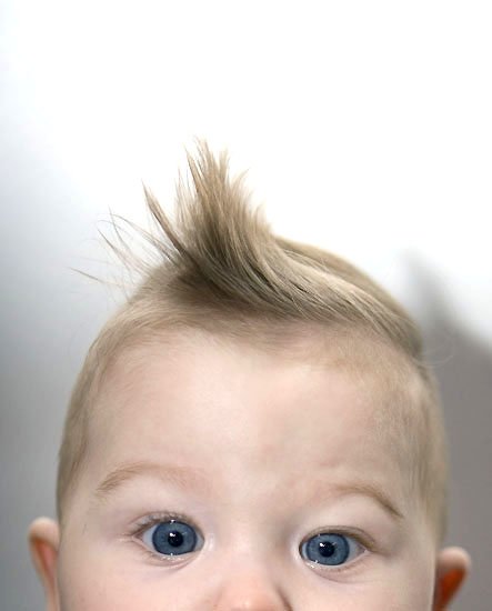 z head