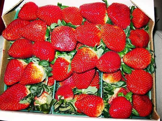 produce of oxnard