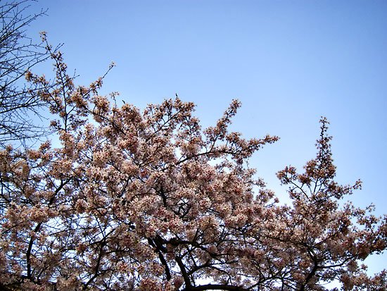 spring has sprung
