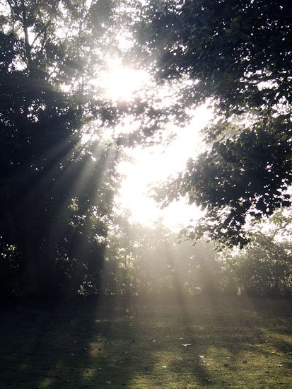 i see the light