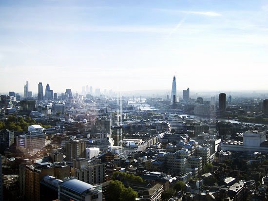 london (birds)eye