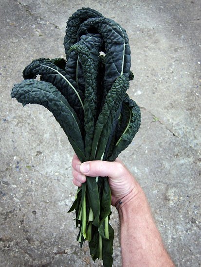 curly kale