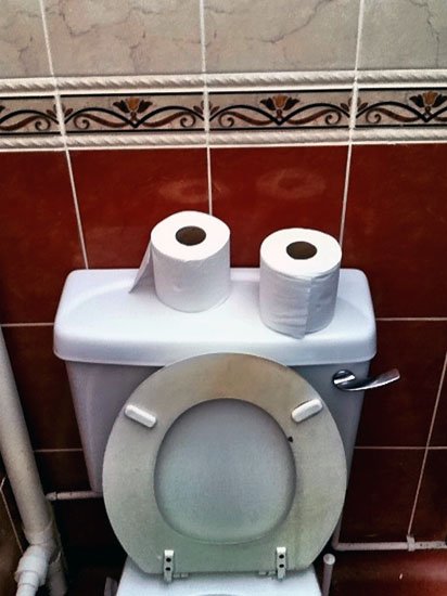 toilet humour