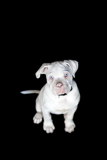 13 weeks of mr.bunny