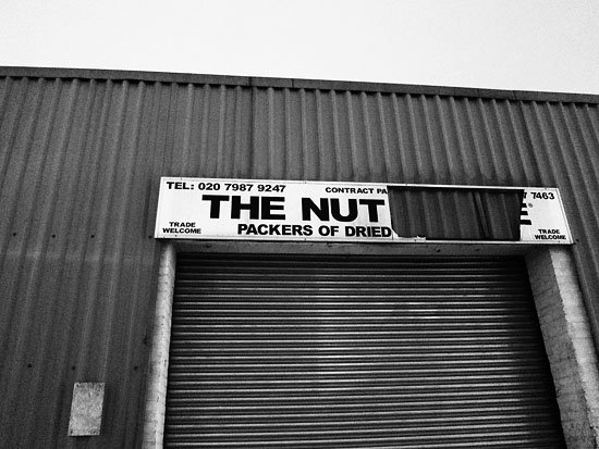 THE NUT