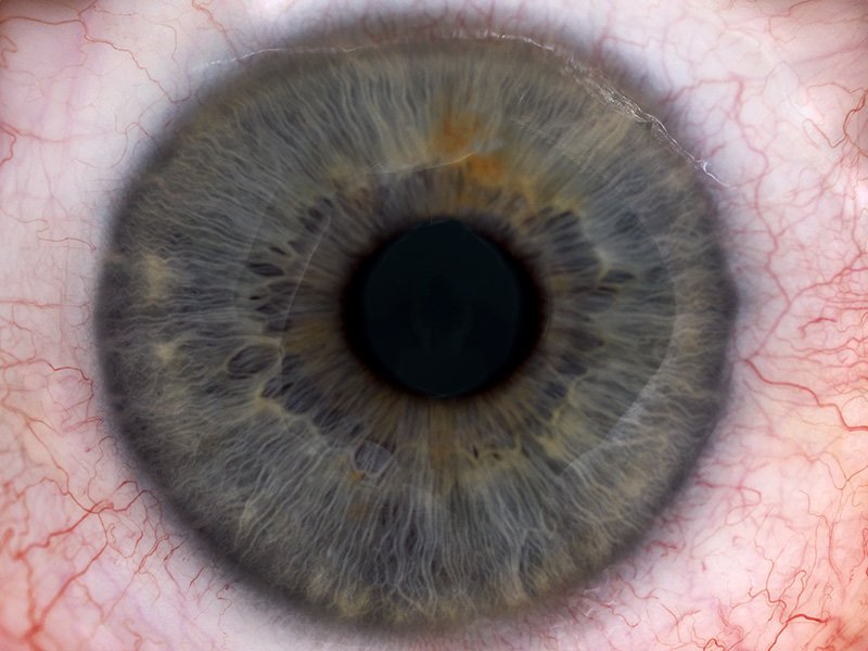 look into my i
