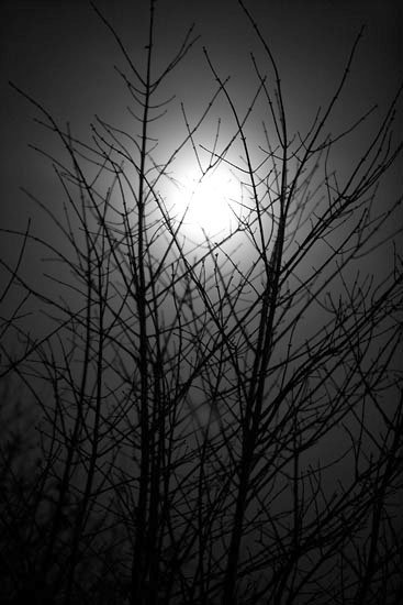 full moon full moon
