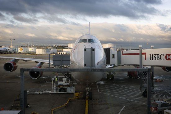 big bird
