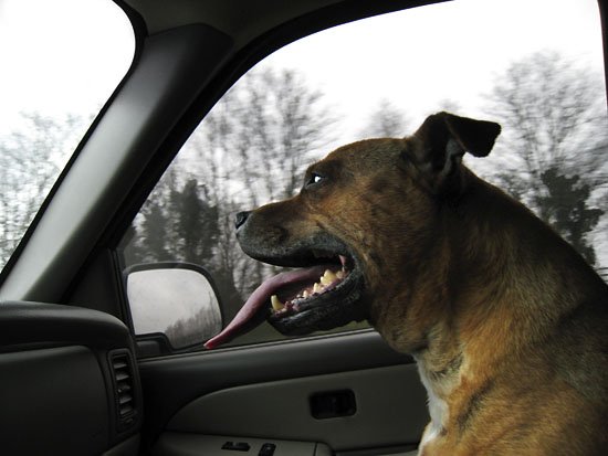 co-pilot stratford
