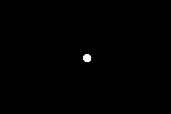 pink moon