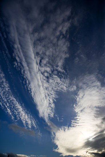 Big Sky
