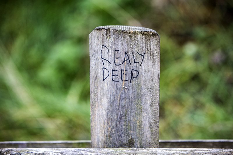 REALY DEEP