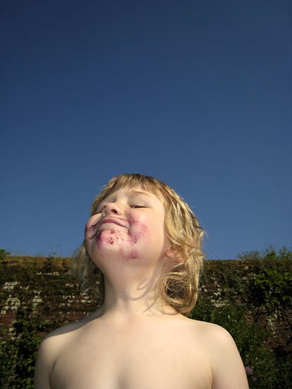 lollipop chops