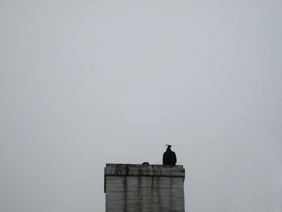 dark day at the farm