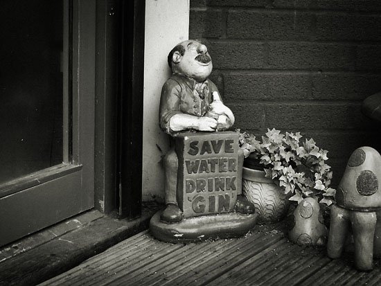 save water drink gin