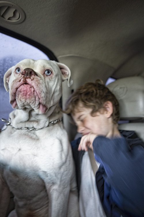 road trip