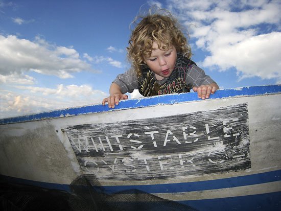 whitstable oyster co.